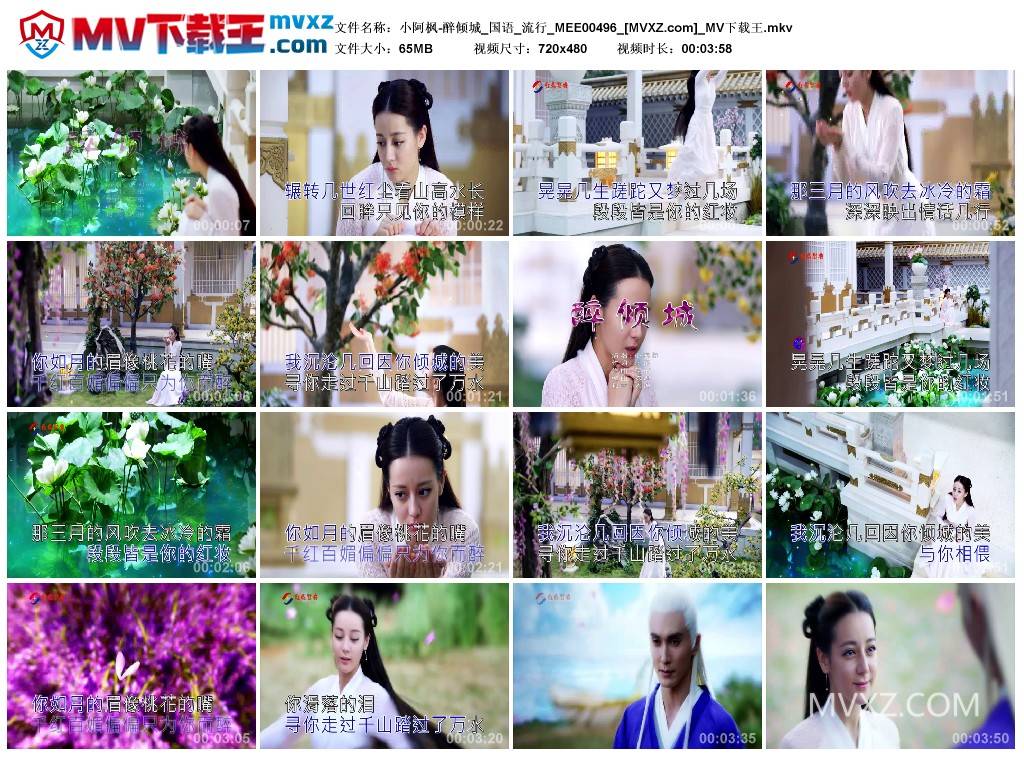 小阿枫-醉倾城_国语_流行_MEE00496